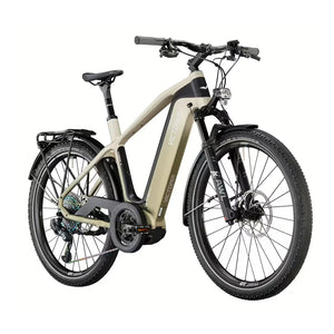 Victoria Fybron 8 Herre Elcykel